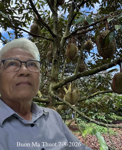 Trần Kiêm Đoàn,  NGHE SẦU RIÊNG CHÍN TỚI